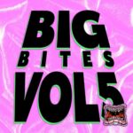 Album (Big Bites Vol. 5) - DJ Red Five